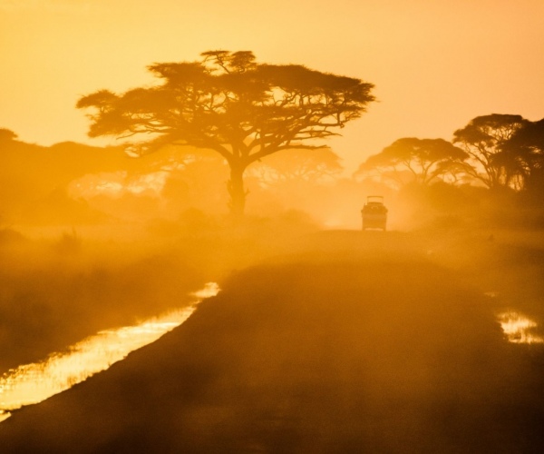 10 x 15 xm Standard 50 adet dijital baskı +ÜCRETSİZ KARGO